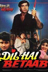 Dil Hai Betaab (1993) Hindi HD