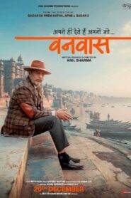 Vanvaas (2024) Hindi PreDvD