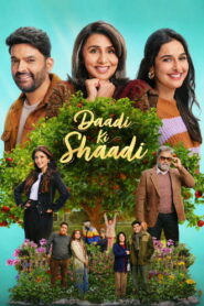 Daadi Ki Shaadi (2026) Hindi HDTC